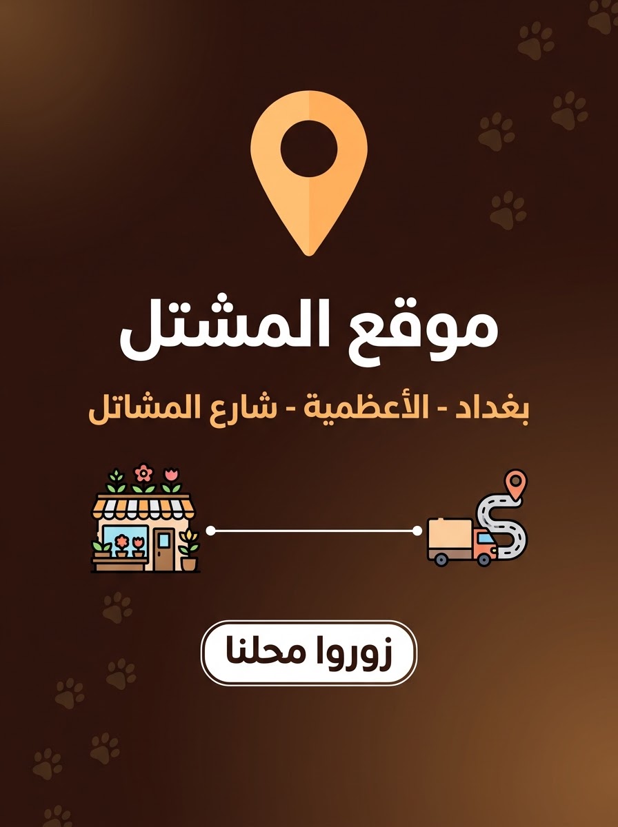 بنر عرض ٢ - بيت الحيوانات الأليفة